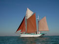 127 fleur de lampaul 2012 wight scaled