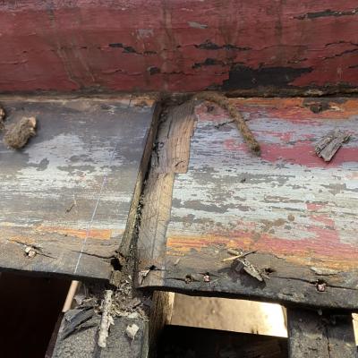 318133457 191596753423738 3070398126523353160 n 1