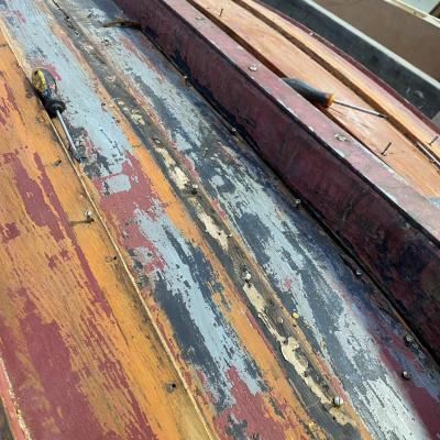 318143283 191597063423707 8075296244120389105 n 1