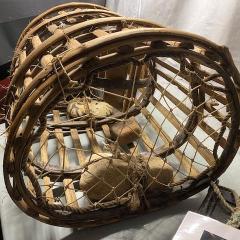 Img 4549