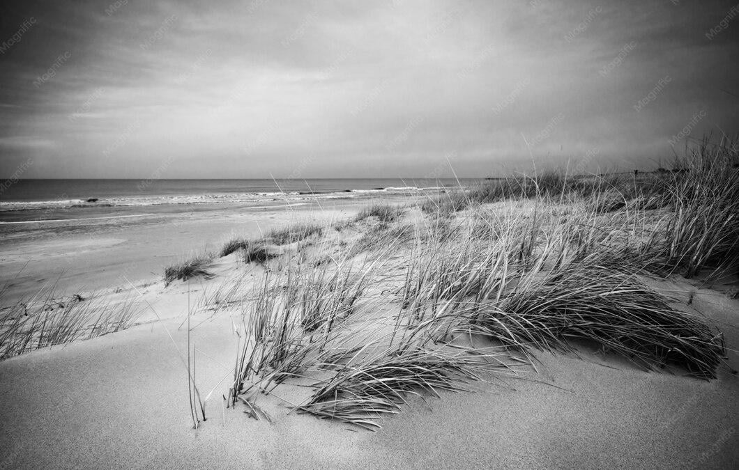 Paysage plage noir blanc 1160 581