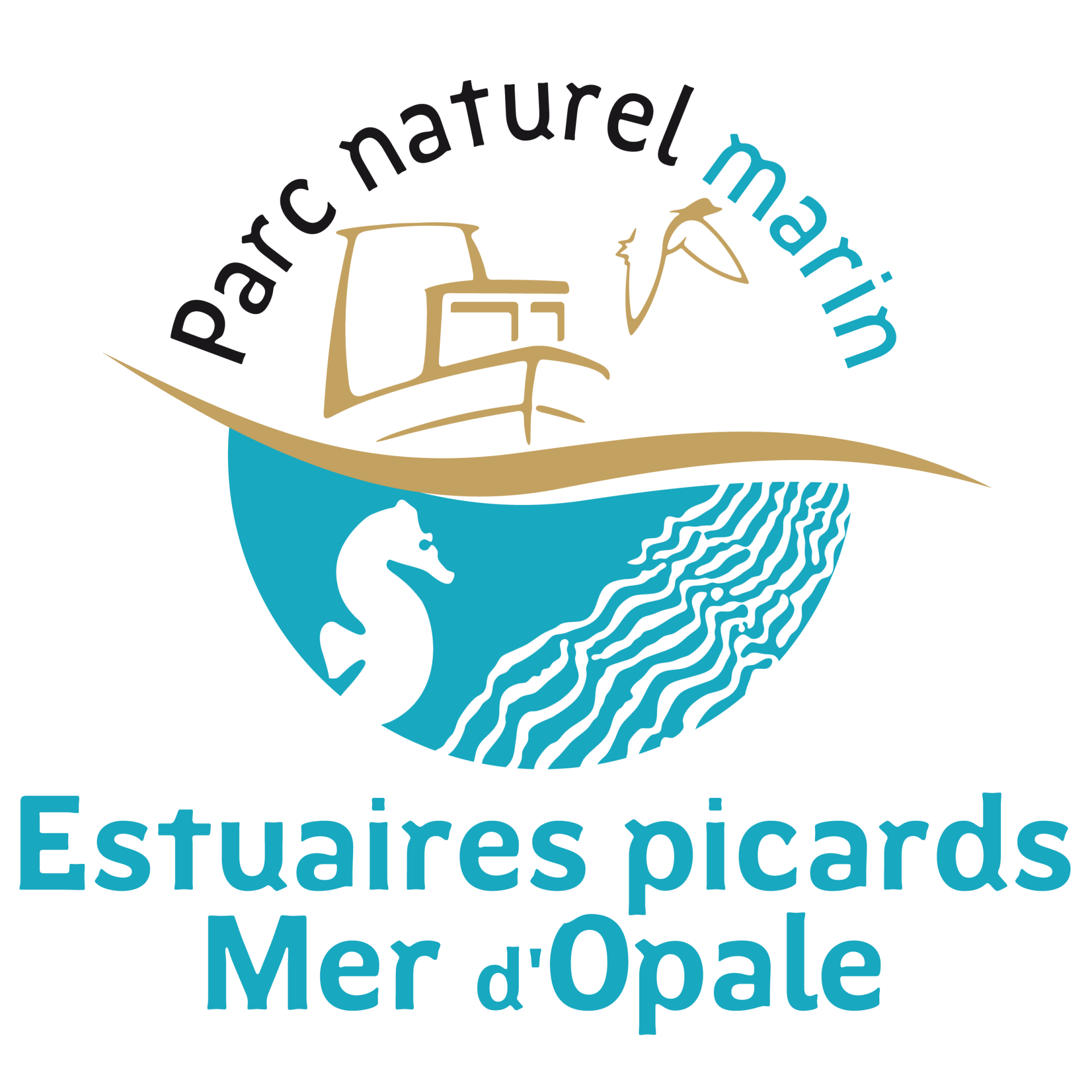 Pnm epmo